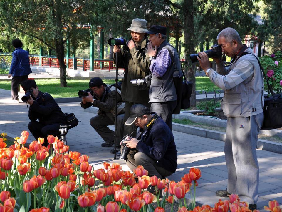 赏花乃雅事 ,悦心又增寿